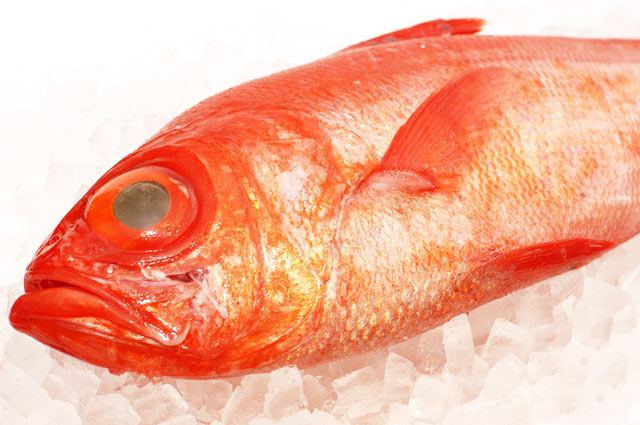 神奈川県 三崎の名産 魚の粕漬け・味噌漬け u201c大石商店u201d